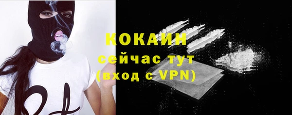 шишки Коряжма