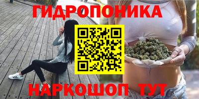 спайс Можга