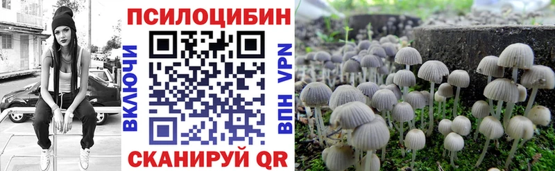 хочу Истра MEGA ONION Галлюциногенные грибы Magic Shrooms
