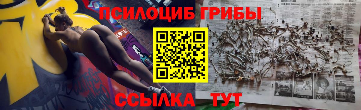 Псилоцибиновые грибы Psilocybe Истра