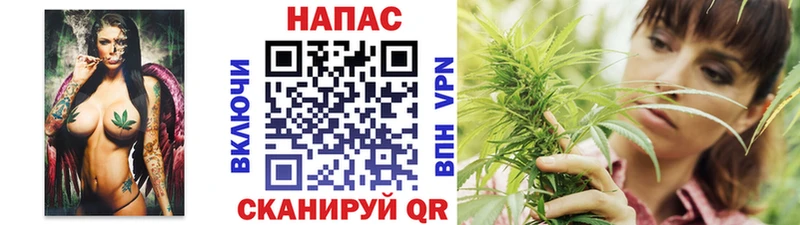 закладка  Истра  Бошки Шишки семена 